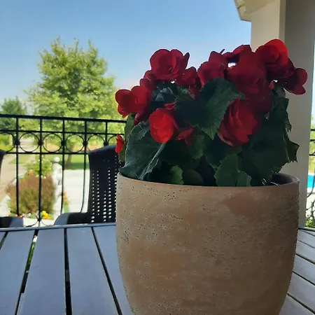 αρχοντικό παπανικολάου Villa Ligaria (Thessalia)